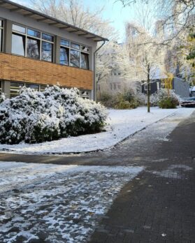 Untitled design (85)